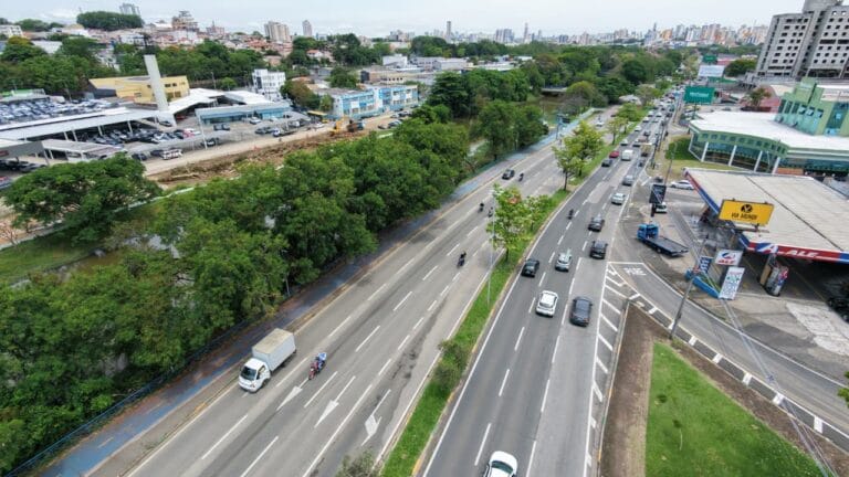 supressão de árvores para a obra da construção da marginal direita